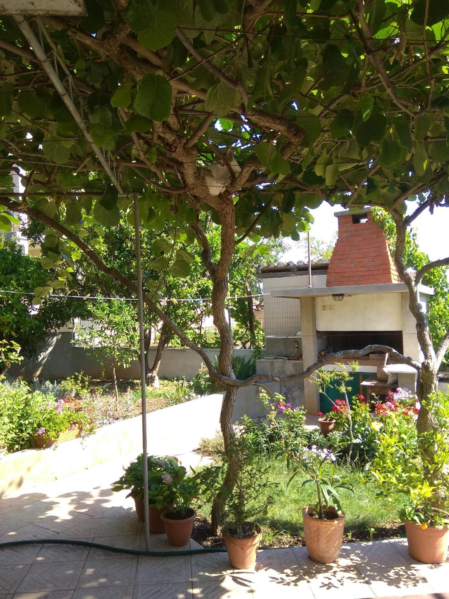 Villa Katarina Losinj Island Мали-Лошинь Экстерьер фото